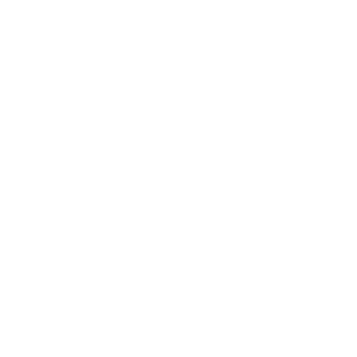 Singularity Technology Logo